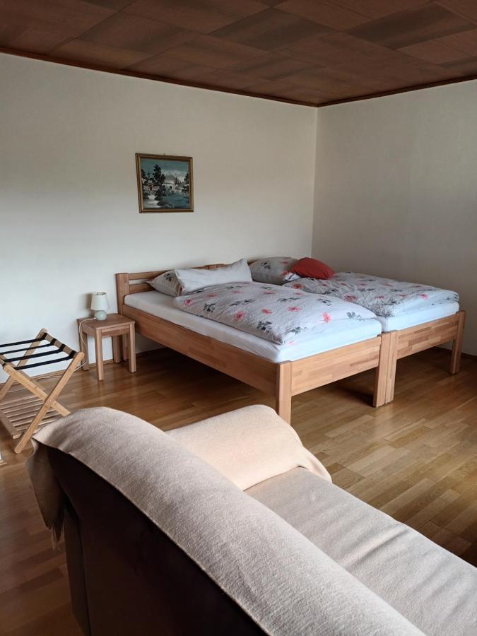 Buedingen-Ferienwohnung Bausch Екстериор снимка